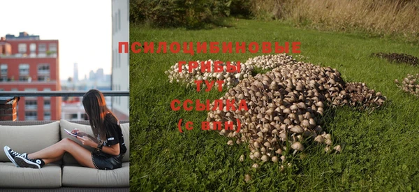 стафф Козловка
