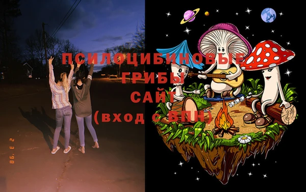 мяу мяу мука Козельск