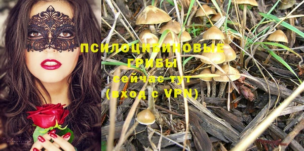 мяу мяу мука Козельск