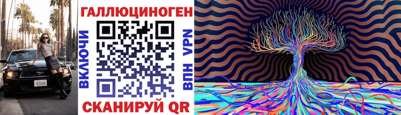 Купить где Канаш Псилоцибиновые грибы GOLDEN TEACHER